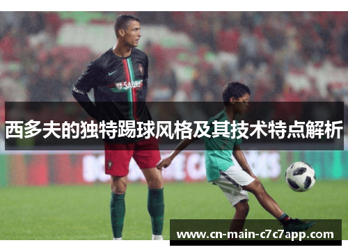 西多夫的独特踢球风格及其技术特点解析