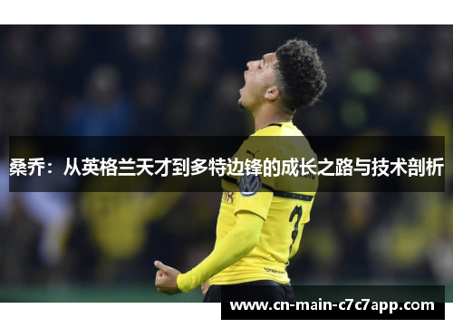 桑乔:从英格兰天才到多特边锋的成长之路与技术剖析 桑乔:从英格兰天才到多特边锋的成长之路与技术剖析