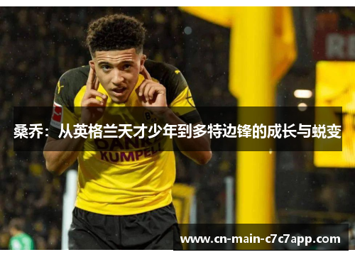 桑乔:从英格兰天才少年到多特边锋的成长与蜕变 桑乔:从英格兰天才少年到多特边锋的成长与蜕变