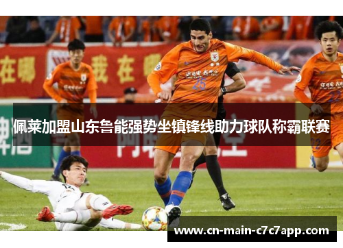 佩莱加盟山东鲁能强势坐镇锋线助力球队称霸联赛